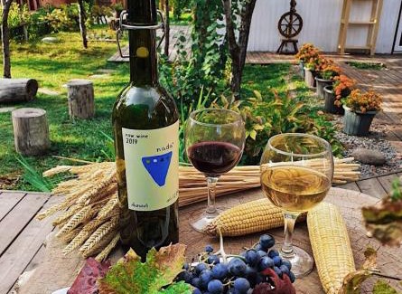 Almaty Province House | Tiny House Nada Vineyard