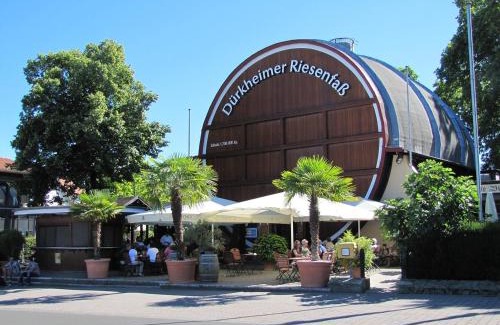 Ellerstadt House | TinyHouse Pfalzperle Auszeit nahe Deutsche Weinstraße & Therme