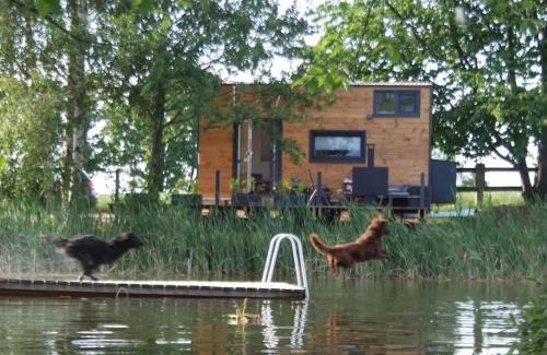 Buhlau House | TinyHousebeiDresden klein aber fein, beste Lage Naturteich große Terrasse - Nähe Sächsische Schweiz