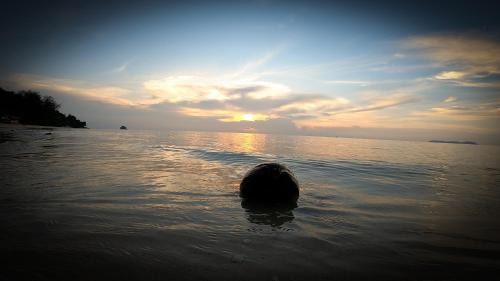Tekek Bed & Breakfast | Tioman Cabana Bed & Breakfast