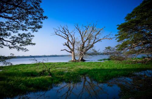 Debarawewa House | Tissa Rainbow Guest & Yala