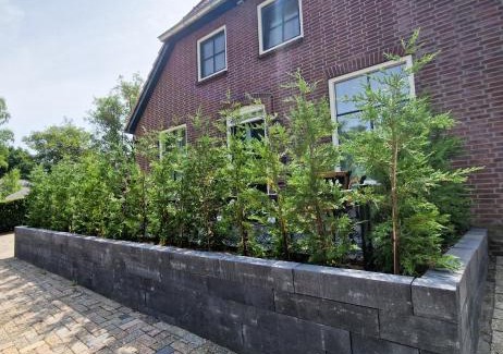 Middelaar Apartment | 'tNest Middelaar