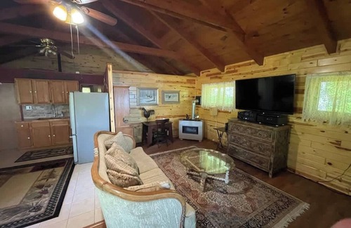Lac du Flambeau Cabin | TnT Cabin on Plummer Lake