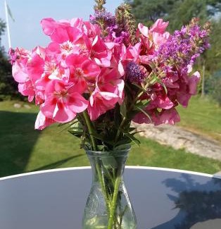 Lycke House | Tofte Guesthouse nära hav, bad och Marstrand