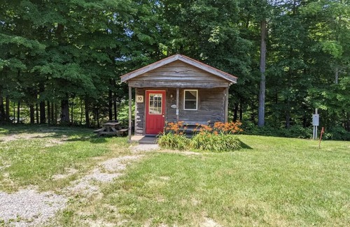 Helmsburg Cabin | "Tom T" Camping Cabin #10 | Pet Friendly