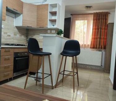 Timisoara Apartment | Tonya House 1