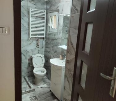Timisoara Apartment | Tonya House 1