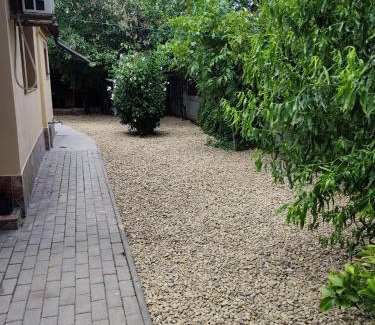 Timisoara Apartment | Tonya House 1
