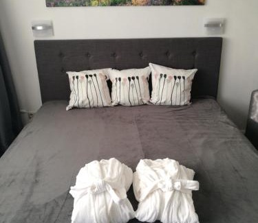 Sankt Englmar Apartment | Top Appartment mit Weitblick und Late Check-Out inklusive aktivCARD