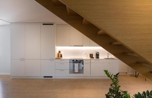 Lucerne Apartment | Top City Center Apartments location next to Lion Monument