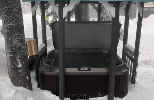 Silver Star Mountain Apartment | Top Floor Suite on the Knoll with private laundry, hot tub, and pet-friendly!