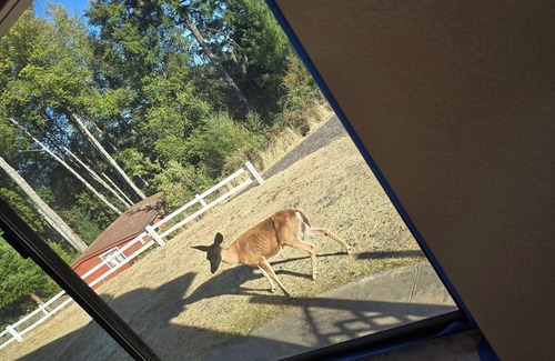 Willits House | TOP of PINE Mountain! 270 view 3-bed house at mouth of the Russian River Wifi AC