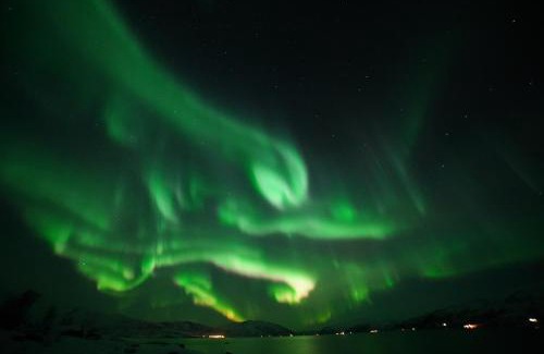 Tromso Apartment | Tor Appartment
