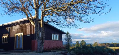 Springfield Ski Chalet | Torokiki bach
