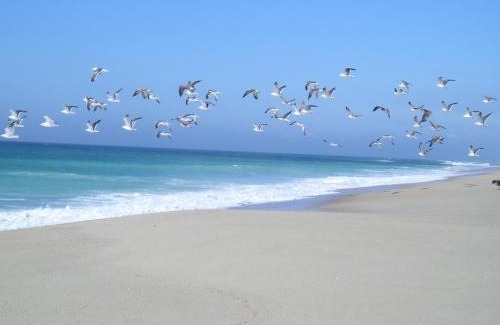 Torreira House | Torreira Vacation Homes - Sea House