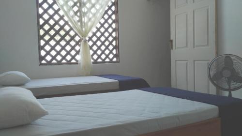 Tortuguero Cabin | Tortuguero Adventures Beach House