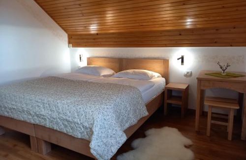 Zrece House | Tourist Farm Arbajter