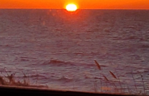 Town Bank House | TOWNBANK COTTAGE Pet Friendly N.Cape May