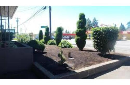 Lents Hotel | Townhouse Del Rancho Motel Portland Oregon 205