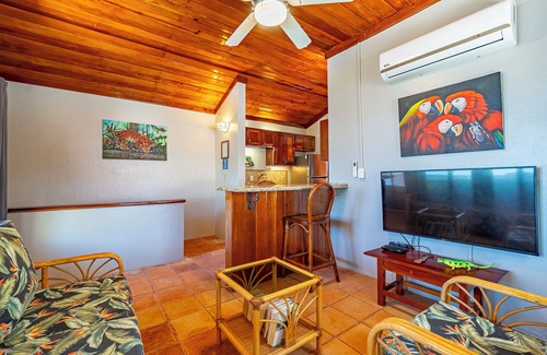 San Pedro Condo | Tradewinds Paradise Villas 23B Ocean Front
