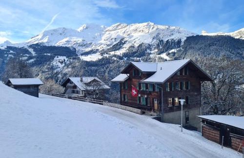 Wengen Apartment | Traditional chalet in Wengen - Top Floor
