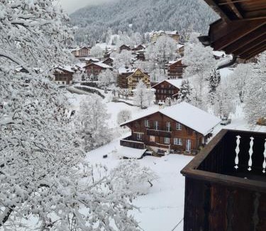 Wengen Apartment | Traditional chalet in Wengen - Top Floor