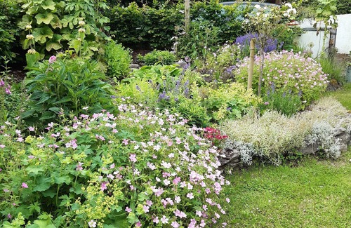 Ballymacarbry Cottage | Traditional Irish Cottage located in outstanding scenery