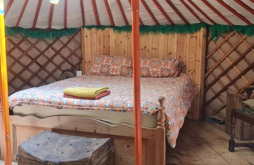 Lydney Bed & Breakfast | Traditional Yurt, woodburner, private loo, outdoor shower, woodfired hottub.