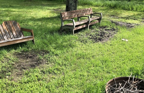Luther Cottage | Trails end River cottage prime family spot one week left last week of August