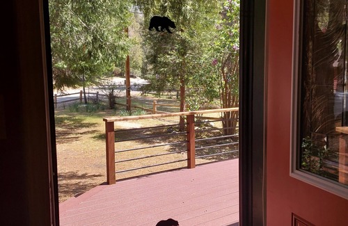 Idyllwild Cabin | TRAILS RIGHT OUT YOUR BACK DOOR - Yet Walk to Town!