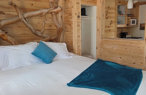 Cedaredge Cabin | Tranquil Aspen Retreat with Full Kitchen & Cozy Charm at the Cedaredge Lodge.