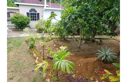 Orange Bay House | Tranquil Park