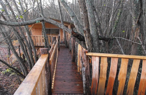 Allons Cabin | Tree house