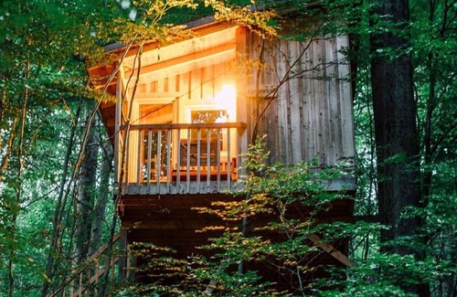 Solling Apartment | Tree house free space, living/sleeping room - Baumhaushotel Solling