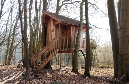 Solling Apartment | Tree house free space, living/sleeping room - Baumhaushotel Solling