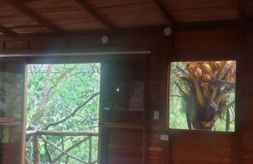 Florencia Cabin | Tree House River