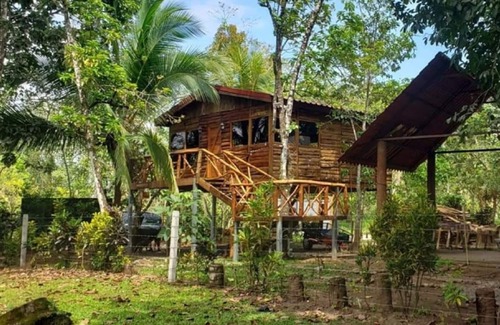 Florencia Cabin | Tree House River