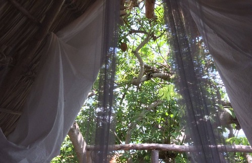 Granada Bed & Breakfast | Tree Nest Luxury Camp Mombacho volcano view w/canopy terrace. Private island