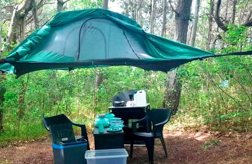 Bakenberg Apartment | Tree tent Ostseebreeze - Category 1 No. 10 - Ferienpark Bakenberg