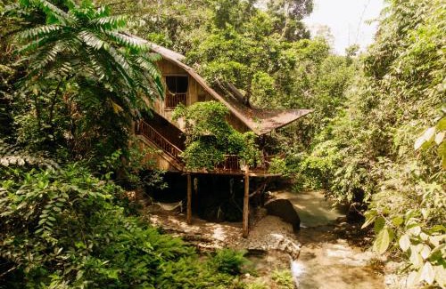 Balamban Cabin | Treehouse de Valentine
