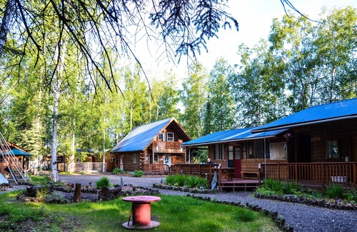 College House | Treehouse "Indiana Jones"