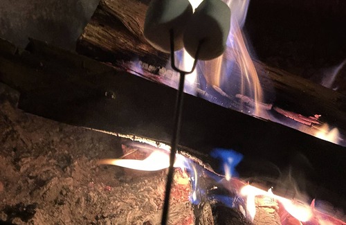 Raccoon Ridge Cabin | Treehouse View of Mountains, River + Outdoor Movie + Hot Tub + Fire Pit + Arcade