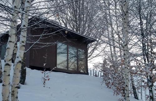 Petrosani Ski Chalet | Trees House Parang