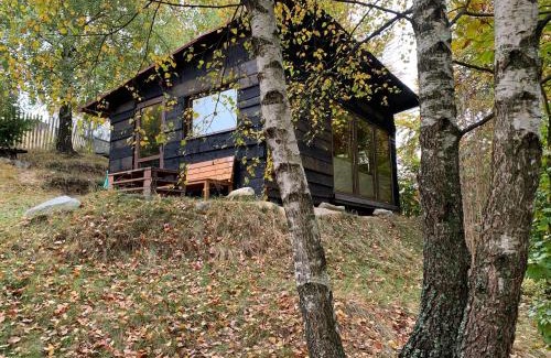 Petrosani Ski Chalet | Trees House Parang