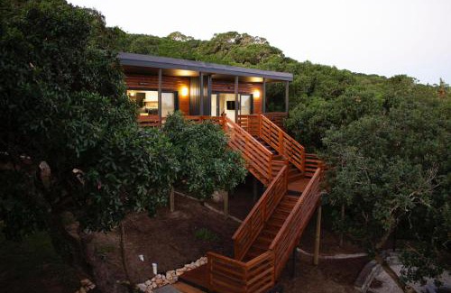 Port Elizabeth Apartment | Treetop Guesthouse
