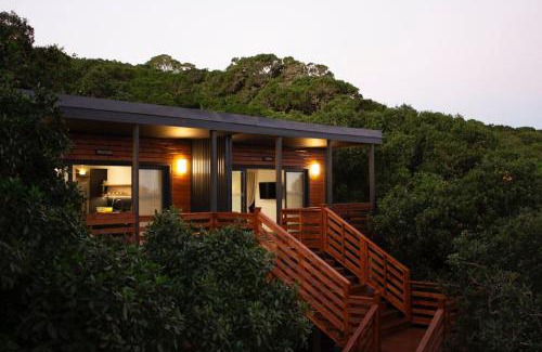 Port Elizabeth Apartment | Treetop Guesthouse