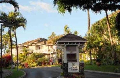 Wailea Condo | Treetop Studio 2nd floor, corner unit