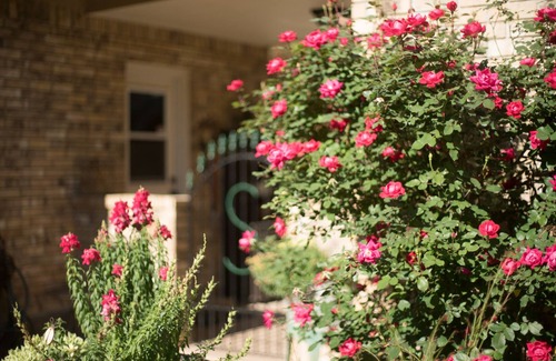 Tomball Apartment | Treetop Studio - NW Houston Area