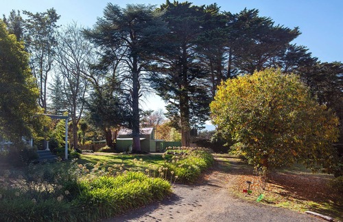 Silvan Cottage | Treetops Silvan Sanctuary Cottage: 2 BR, 1.5 BA in Silvan, Sleeps 3