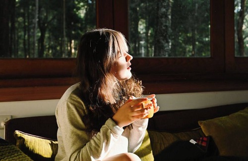 Salisbury Cabin | Treetops - Your Rainforest RetreatnnSurround yourself with nature.